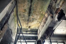 Best Forensic Mold Investigation  in Bethany, OR